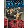 Sherlock Holmes: Victorian Knights