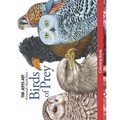 Birds of Prey Coloring Book