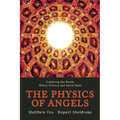 The Physics of Angels: Exploring the Realm Where Science and Spirit Meet