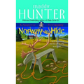 Norway to Hide