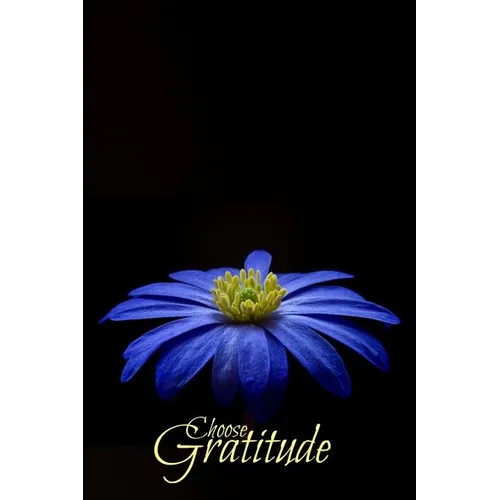 Choose Gratitude