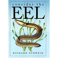 Consider the Eel