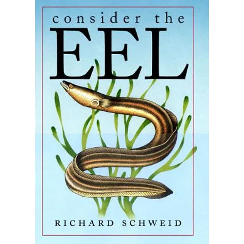 Consider the Eel