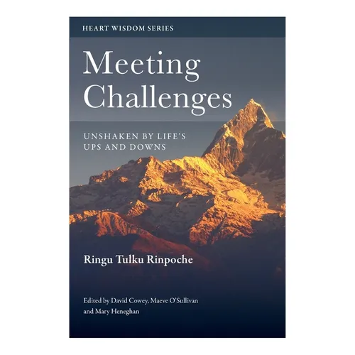 Meeting Challenges: Unshaken by Life's Ups and Downs