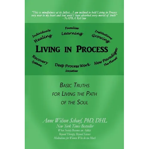 Living in Process: Basic Truths for Living the Path of the Soul