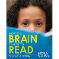 How the Brain Learns to Read
