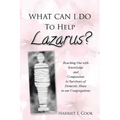 What Can I Do to Help Lazarus?: Reaching Out with Knowledge and Compassion to Survivors of Domestic Abuse in our Congregations