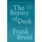 The Beauty of Dusk: On Vision Lost and Found