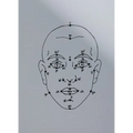 Megan Williams & Sheung Yiu: (Inter)Faces of Predictions: C/O Berlin Talent Award 2025