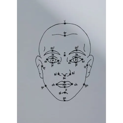 Megan Williams & Sheung Yiu: (Inter)Faces of Predictions: C/O Berlin Talent Award 2025