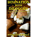 Divination with Diloggún: A Beginner's Guide to Diloggún and Obi