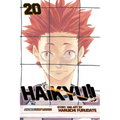 Haikyu!!, Vol. 20: Particular