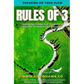 Rules of 3: Focusing on Your Flow: Breaking down the Journey of Triumph & Simplifying Success