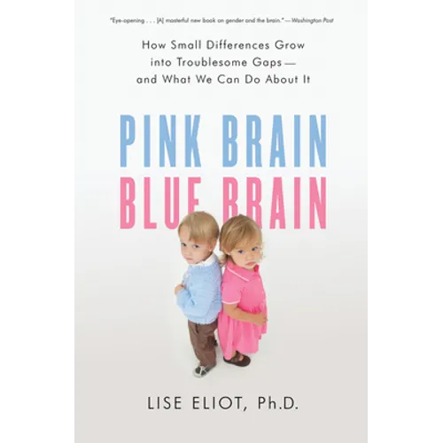 Pink Brain, Blue Brain: How Small Differences Grow Into Troublesome Gaps -- And What We Can Do about It