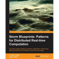 Storm: Distributed Real-Time Computation Blueprints