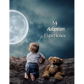 My Adoption Experience: A Baby Book To Follow The Child's Life From Adoption Through Five Years