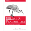 Efficient R Programming: A Practical Guide to Smarter Programming