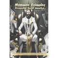 Mammon Grimoire: Prosperity Spells Unveiled