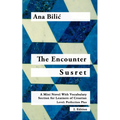 The Encounter / Susret: A Mini Novel With Vocabulary Section for Learning Croatian, Level - Perfection Plus (C1) = Advanced High, 2. Edition