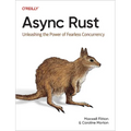 ASYNC Rust: Unleashing the Power of Fearless Concurrency