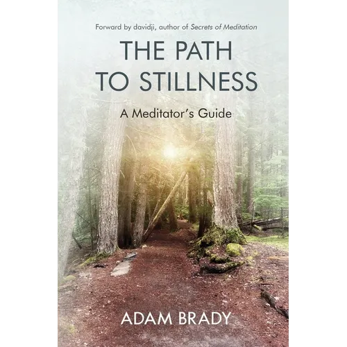 The Path to Stillness: A Meditator's Guide