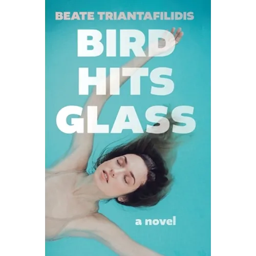 Bird Hits Glass