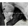 Wild Horses of the West
