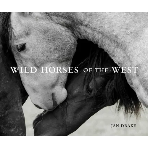 Wild Horses of the West