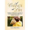 A Chance At Life: Stories of Inspiration and Hope for Foster and Adoptive Parents of Abused Children
