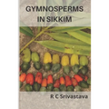 Gymnosperms in Sikkim