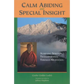 Calm Abiding and Special Insight: Achieving Spiritual Transformation Through Meditation