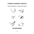 Formal Shamanic Conduct: Zonal Installations in Supernatural Space