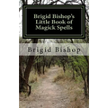 Brigid Bishop's Little Book of Magick Spells: 21st Century Magick