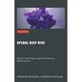 OpenGL Deep Dive: Expert Techniques and Performance Optimization
