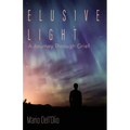 Elusive Light: A Journey Through Grief