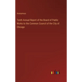 Tenth Annual Report of the Board of Public Works to the Common Council of the City of Chicago