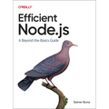 Efficient Node.Js: A Beyond-The-Basics Guide