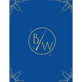 Birth Wizard's VBAC Wizard Training Manual: VBAC Wizard Training Manual