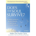 Does the Soul Survive? (2nd Edition): A Jewish Journey to Belief in Afterlife, Past Lives & Living with Purpose