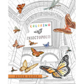 Coloring Insectopolis