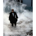 The Private Eye in Public Art