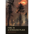 Fire in a Windless Place
