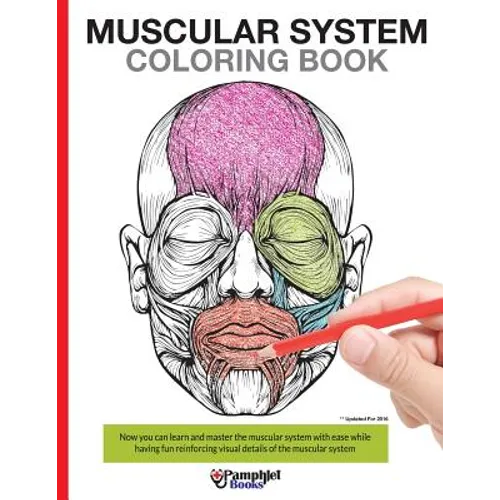 Muscular System Coloring Book: With colored illustrations like what you see on the back page