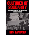 Cultures of Solidarity: Consciousness, Action and Contemporary American Workers