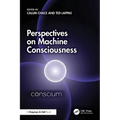 Perspectives on Machine Consciousness