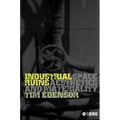 Industrial Ruins: Space, Aesthetics and Materiality