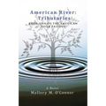 American River: Tributaries: Book One of the American River Trilogy
