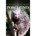 Porcupines - Curious Kids Press: Kids book about animals and wildlife, Children's books 4-6
