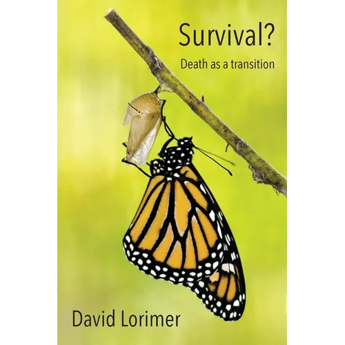 Survival? Death as a Transition