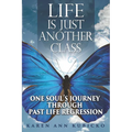 Life Is Just Another Class: One Soul's Journey Through Past Life Regression